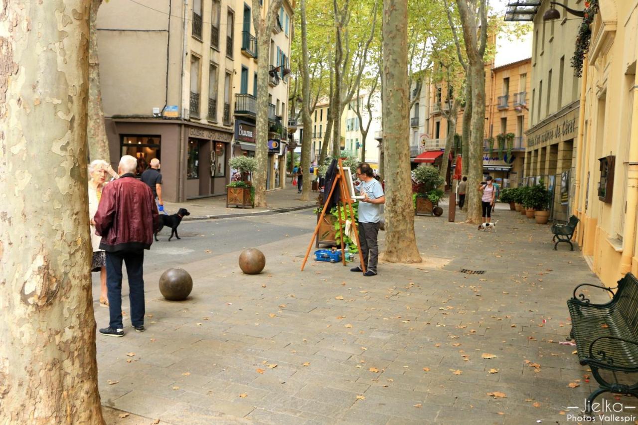 La Cigogne Céret Exterior foto