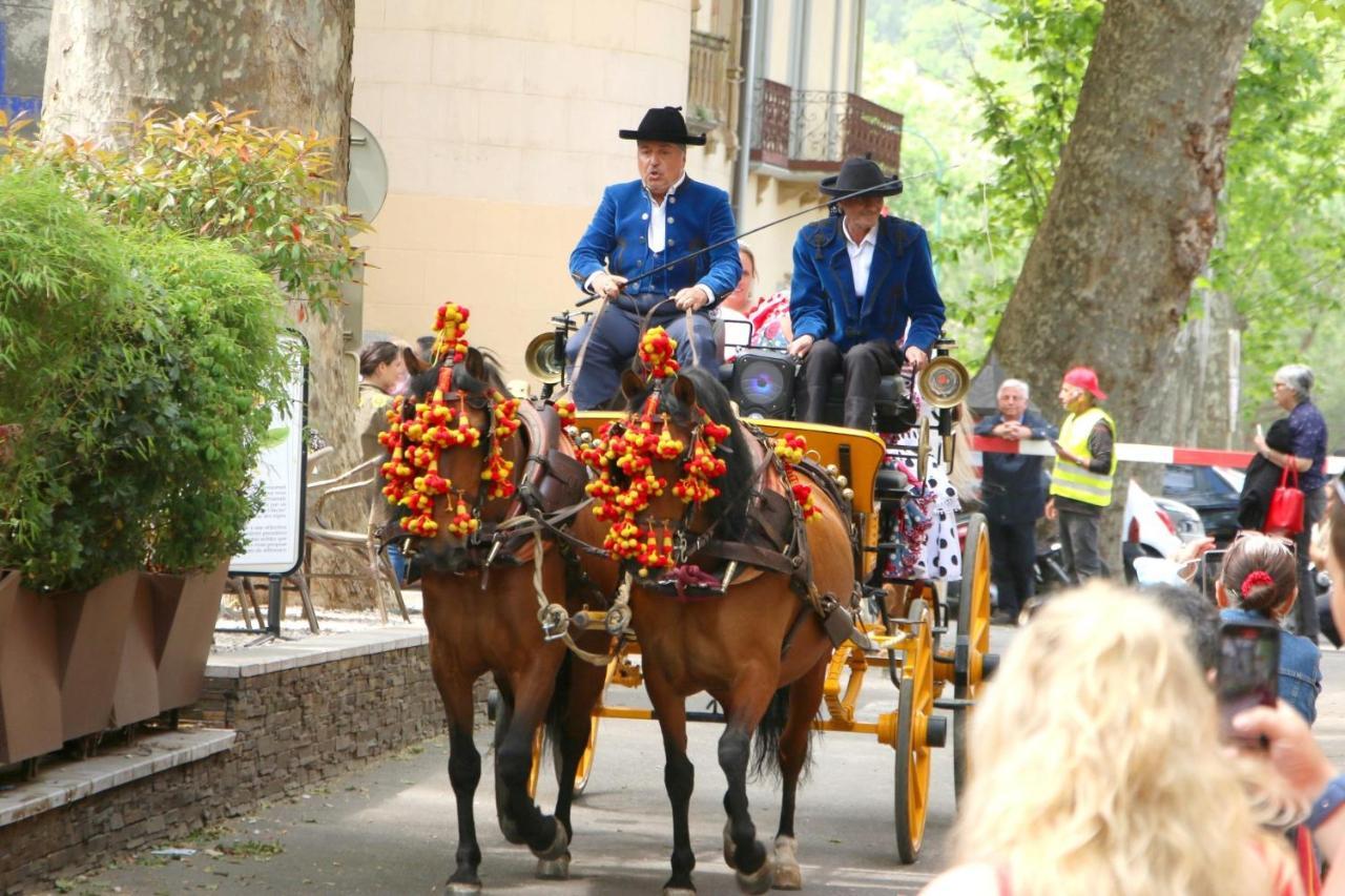 La Cigogne Céret Exterior foto