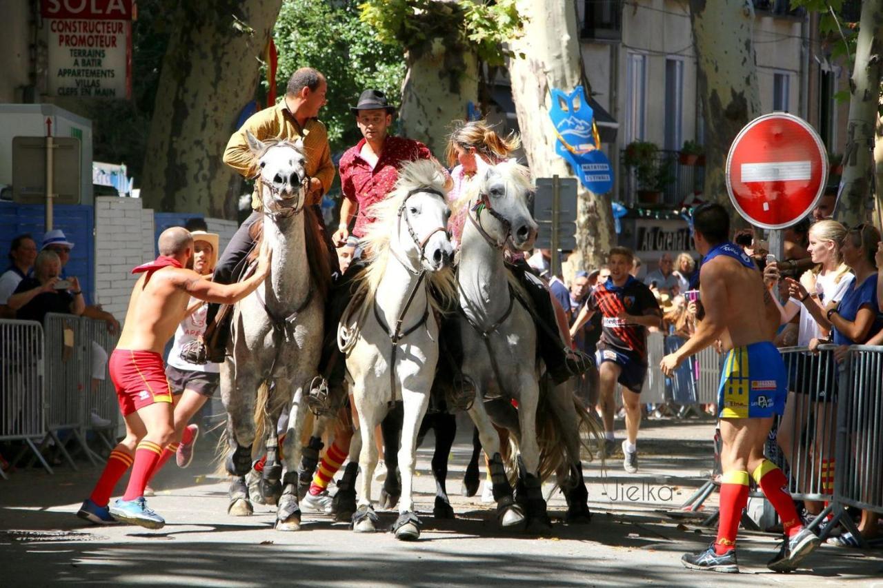 La Cigogne Céret Exterior foto