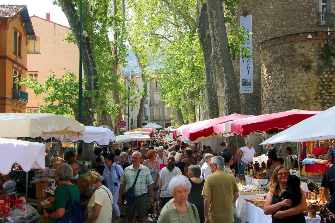 La Cigogne Céret Exterior foto