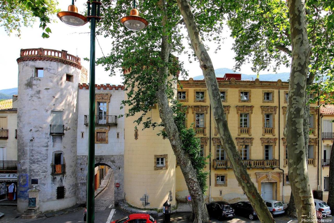 La Cigogne Céret Exterior foto